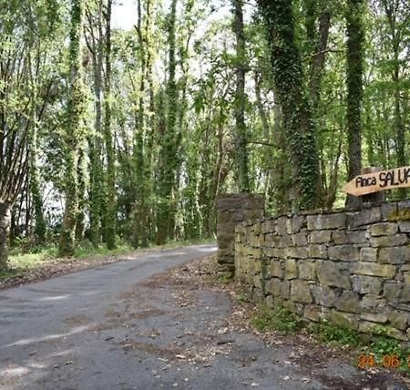 Finca Salvador バラージャ エクステリア 写真