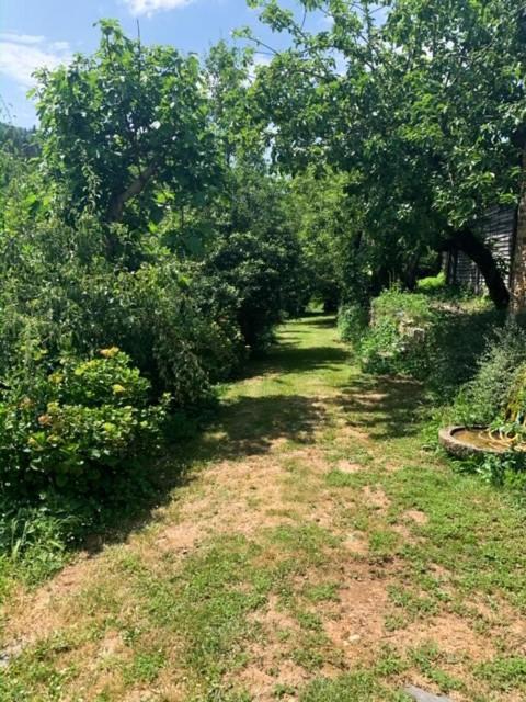 Finca Salvador バラージャ エクステリア 写真